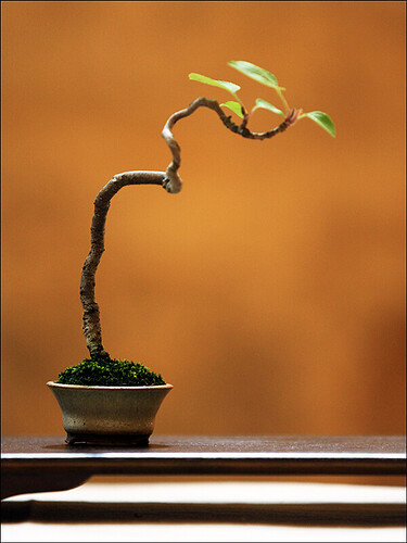 2025.05.25(33)copie1