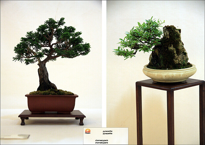 2025.05.24(montage38-40)1