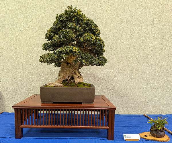 PXL_20260301_103254831