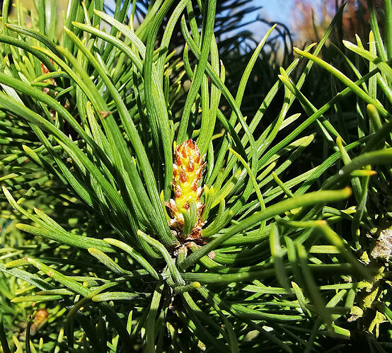 IMG_20260305_102604_edit_377339329104400