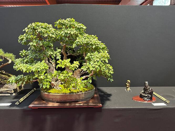 552699140_1420229970110650_2528898376849908157_n