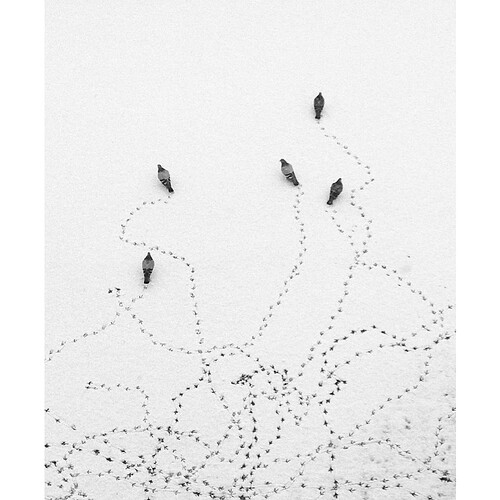 597618713_1462815179183619_8408960251493737843_n