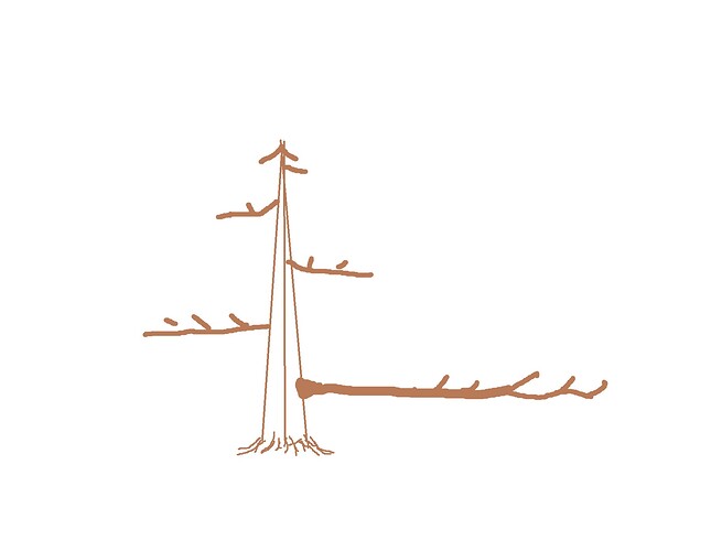 ___________DSCN01-1virt3