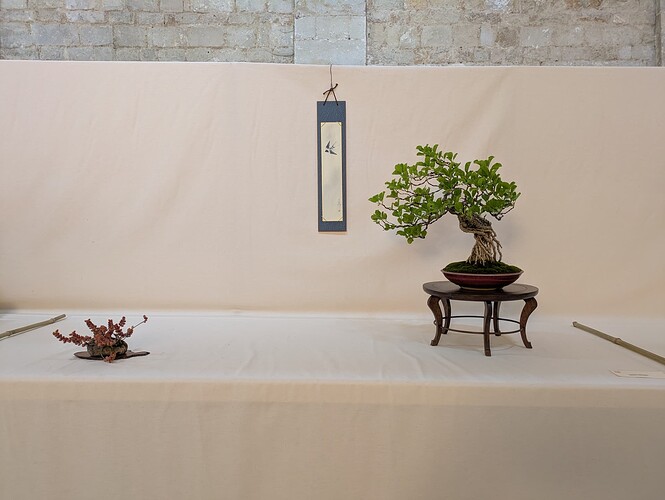 PXL_20250524_153037437