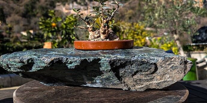 olivier serpentine  (1 sur 4)