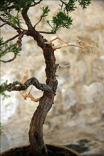 2025.05.24(95)copie1