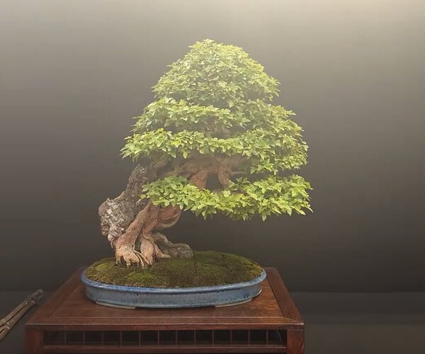 ___________DSCN01virt1-20