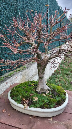 20251207_162929_resized