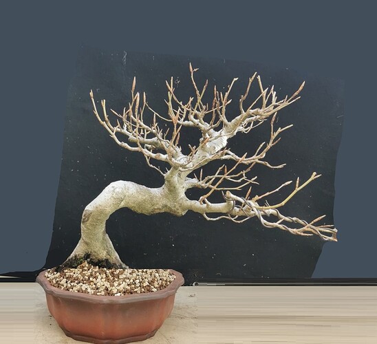 ___________DSCN132virt3