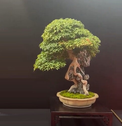 ___________DSCN01virt1-21