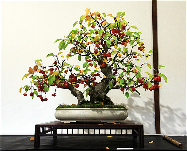 2024.10.20(10)copie1