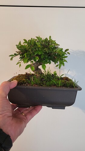 20250419_145446_resized