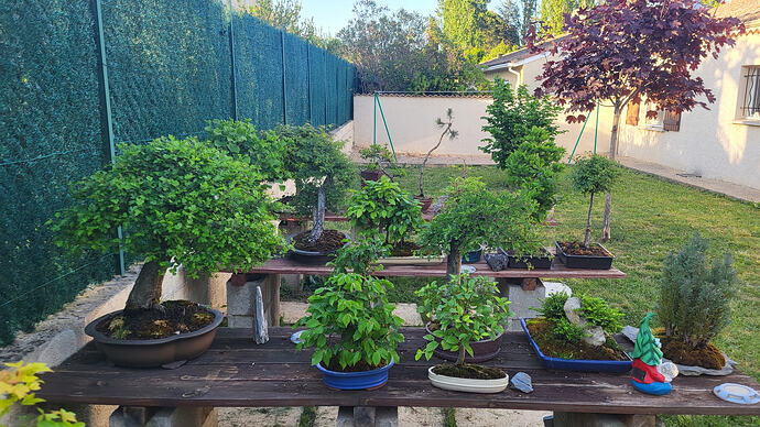 20260420_190337_resized