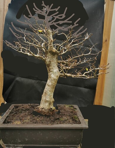 2025-11-03-20-35-59-517