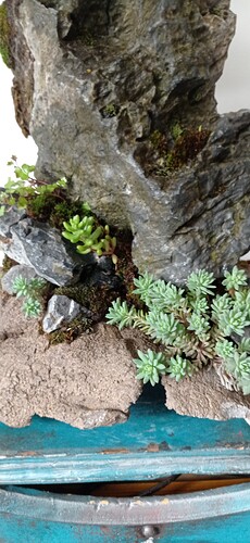 IMG_20250420_141629