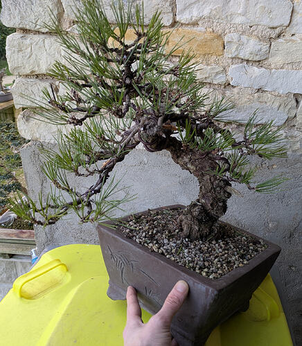 PXL_20251226_155856406