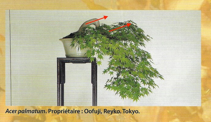 fb p 58 GP flèche