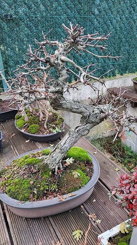 20251207_162834_resized