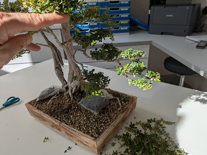 PXL_20251005_142137631