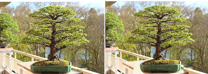 ___________DSCN01-1virt1