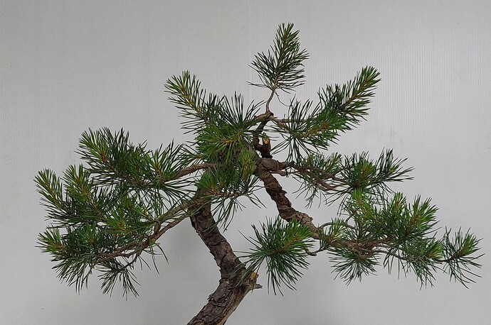 20240526_153522 - Copie