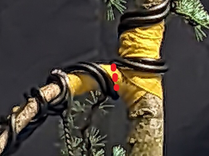 ___________DSCN01virt1-1