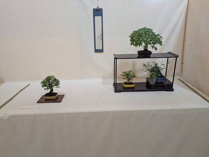 PXL_20250525_145409247