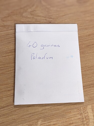 PXL_20251204_183714375.PORTRAIT