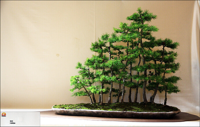 2025.05.24(74)copie1