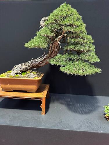 548195278_1420229796777334_2030530203323084911_n