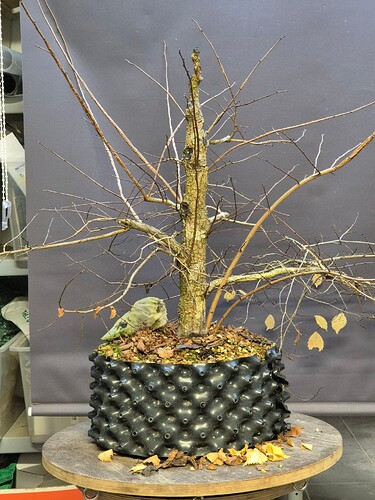 13381c37fafd5ce4cf7164006dcee5e57a8953ee