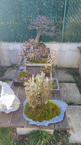 20250302_162210_resized