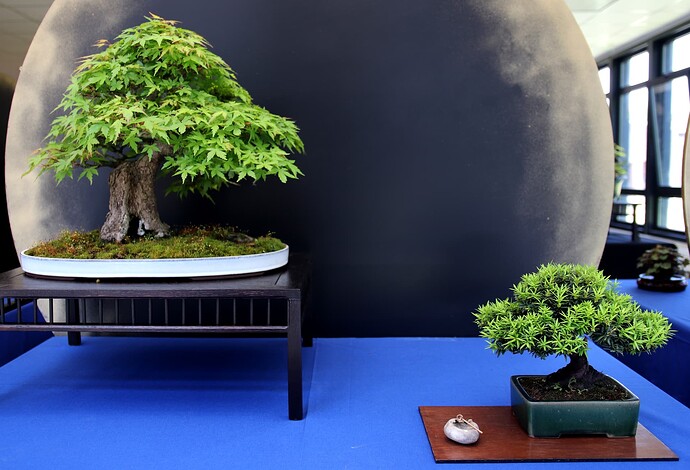 2025-05 Marcoussis (50)