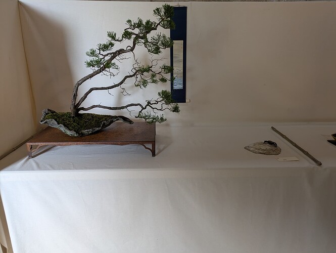 PXL_20250524_152348369