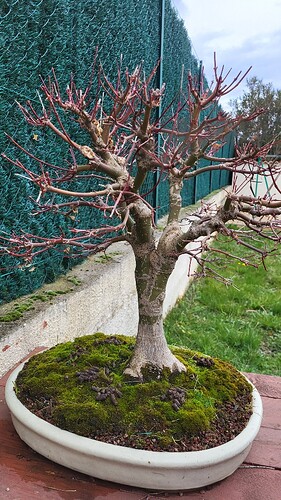 20250310_115131_resized