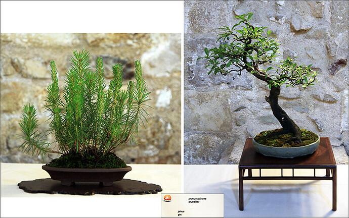 2025.05.24(montage86-89)1