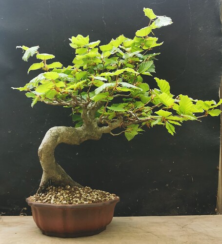 2025-05-01-17-26-01-833