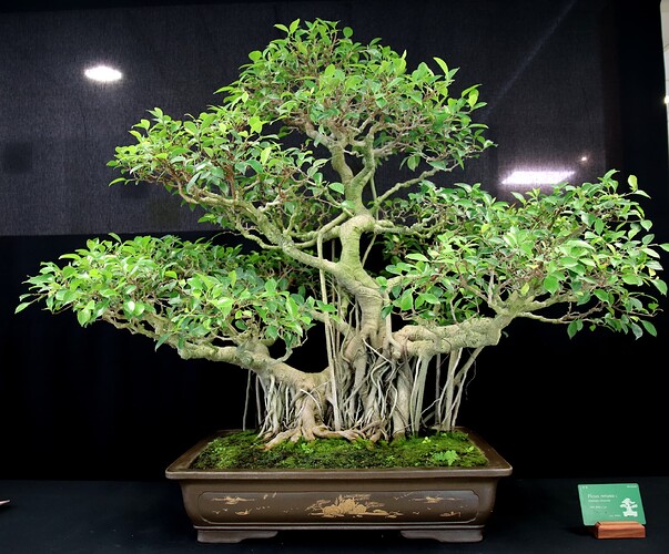 2025-05 Marcoussis (22)