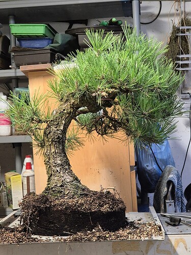 7f5b86959467c1e2cd684ff28762107ebf7e7de8_2_750x1000