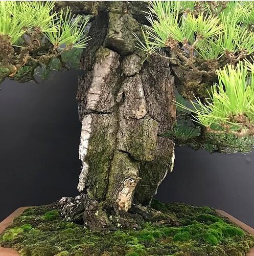 pin thunberg fils ecorce2 taikanten2018