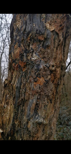 Screenshot_20260204_142153_com.huawei.himovie.overseas