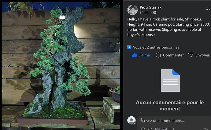 ___________DSCN01-1virt3