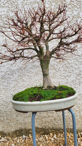 20251212_102851_resized
