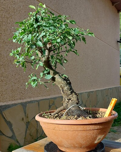 att.V4w_CwoKx8Q5qWzFh3Bv4Ca_3Oa9JFrtYEaTW2ka36I