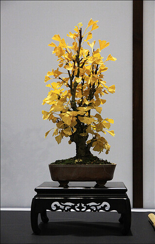 2024.10.20(23)copie1