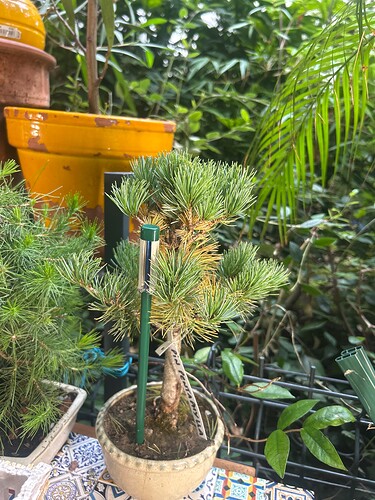 IMG_0504A80C-CB10-4D0E-A526-93508D3F72C8