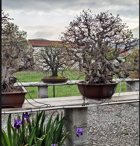 ___________DSCN147