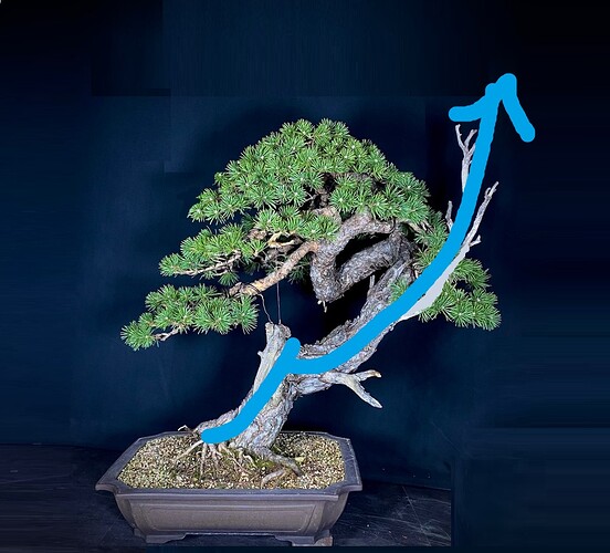 ___________DSCN01-1virt2