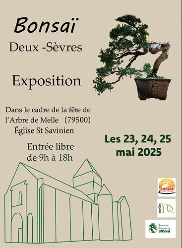 Capture plein écran 08042025 112320