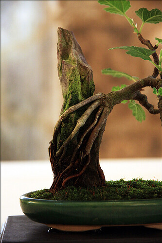 2025.05.24(113)copie1